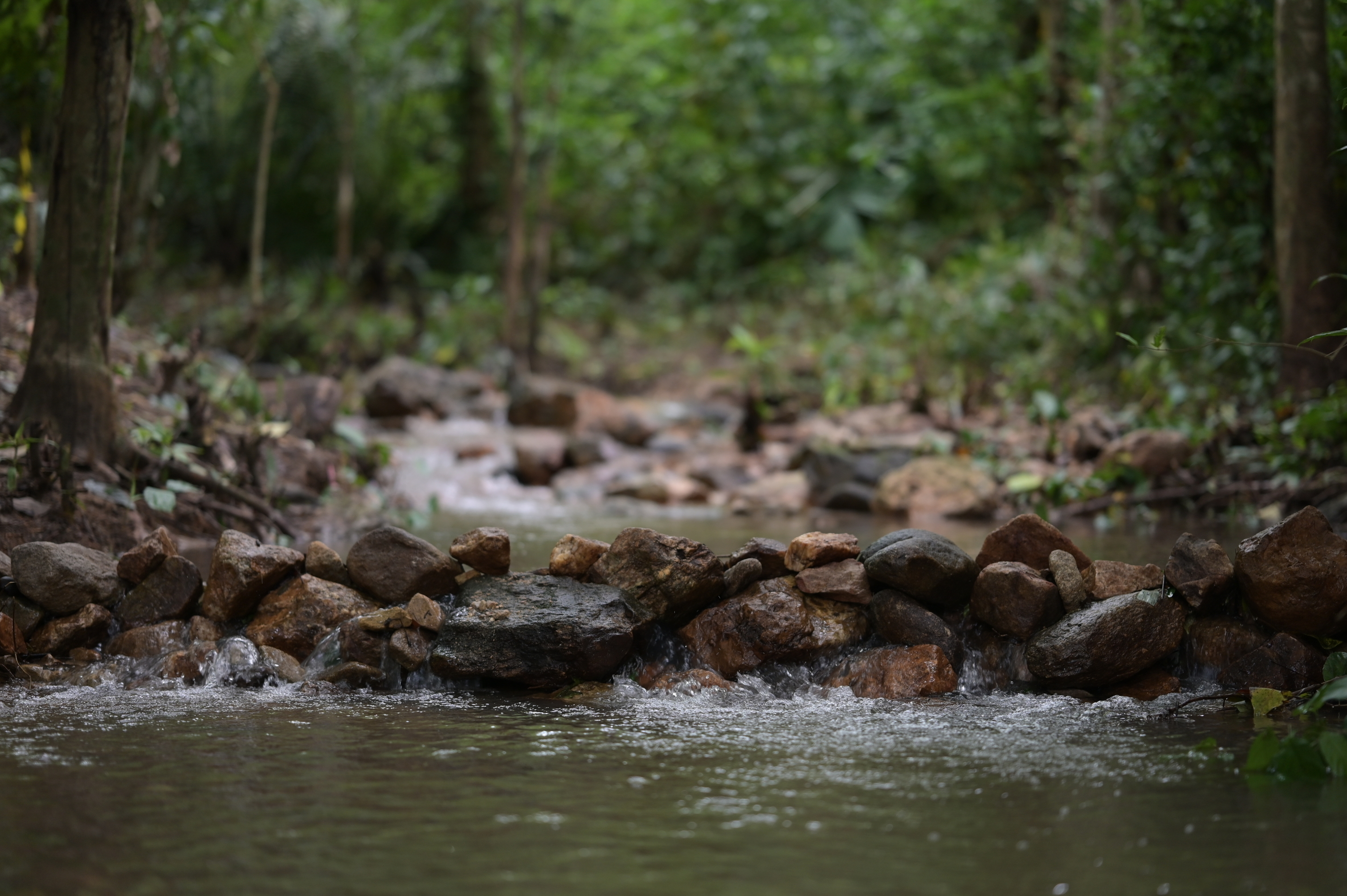 Q&A with SCGC: The Construction of Check dams