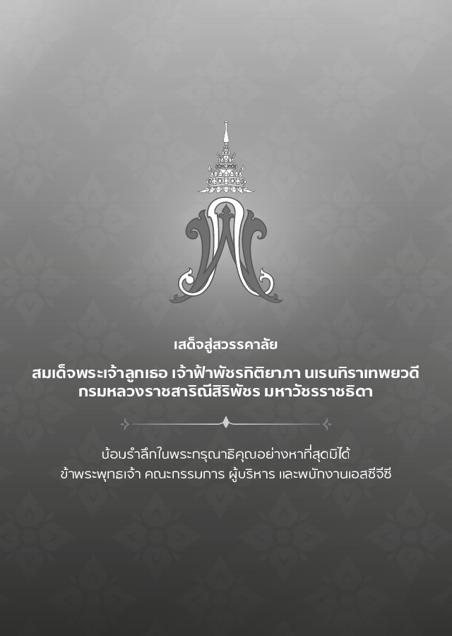 Mobile Banner Th