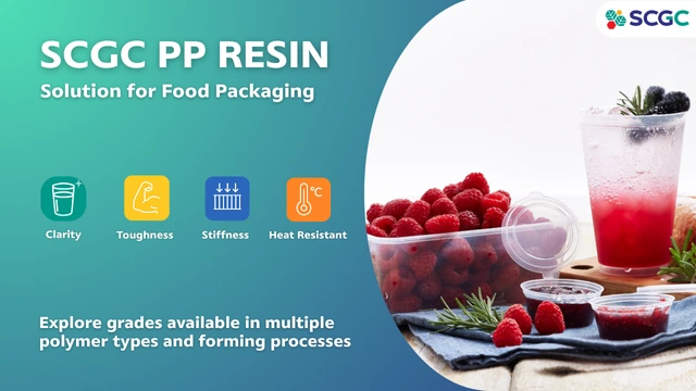 Your Partner in High-Performance PP Packaging Solutions