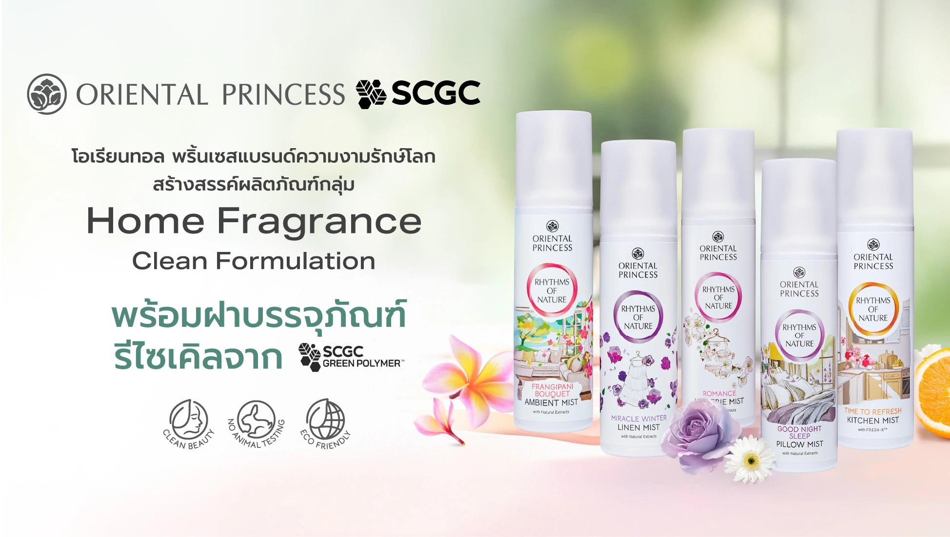 Scgc Oriental Princess 2